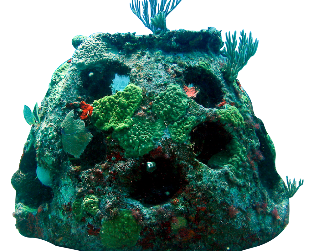 reef ball reef ball